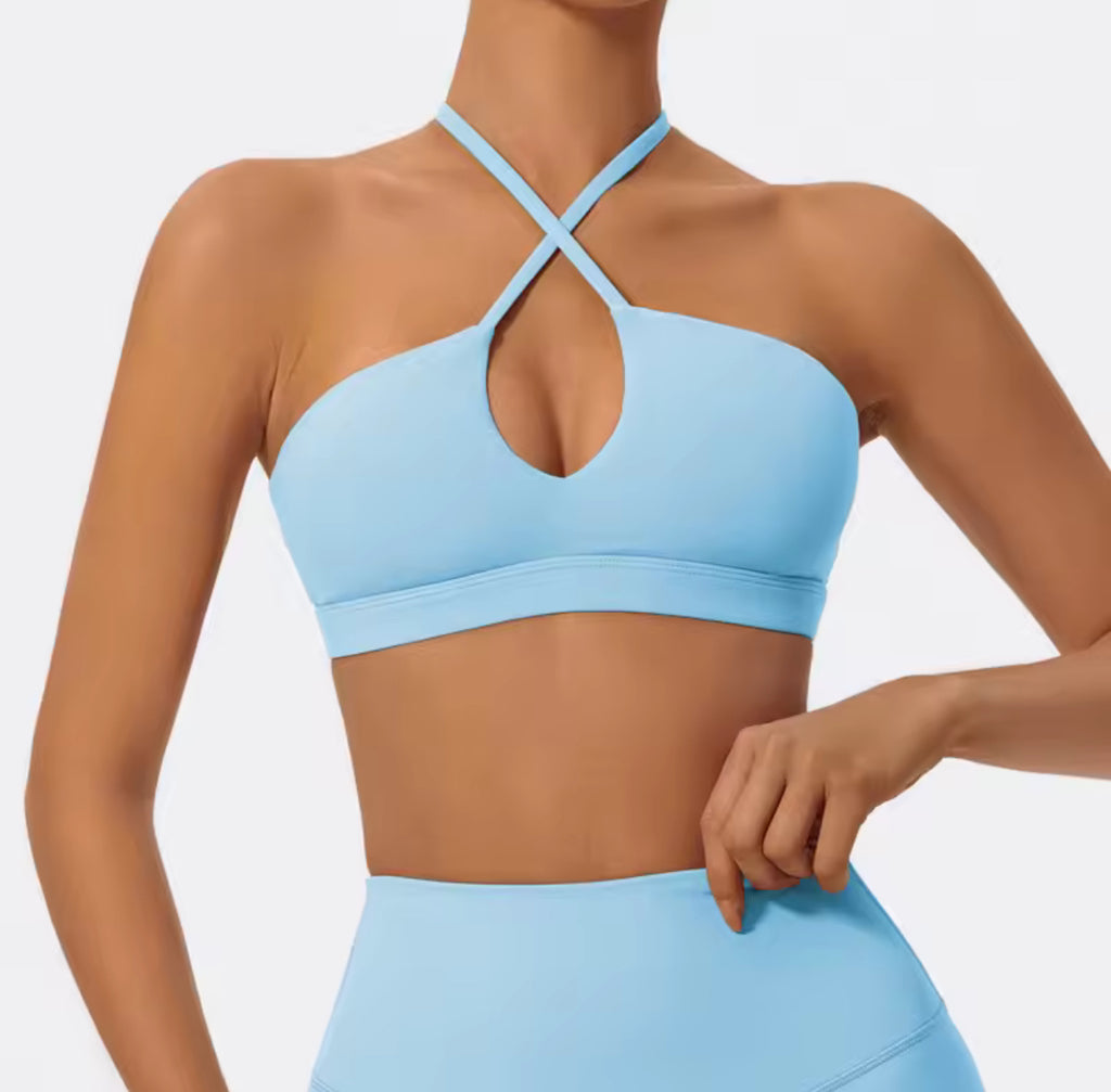 Rose Ivy Sports Bra