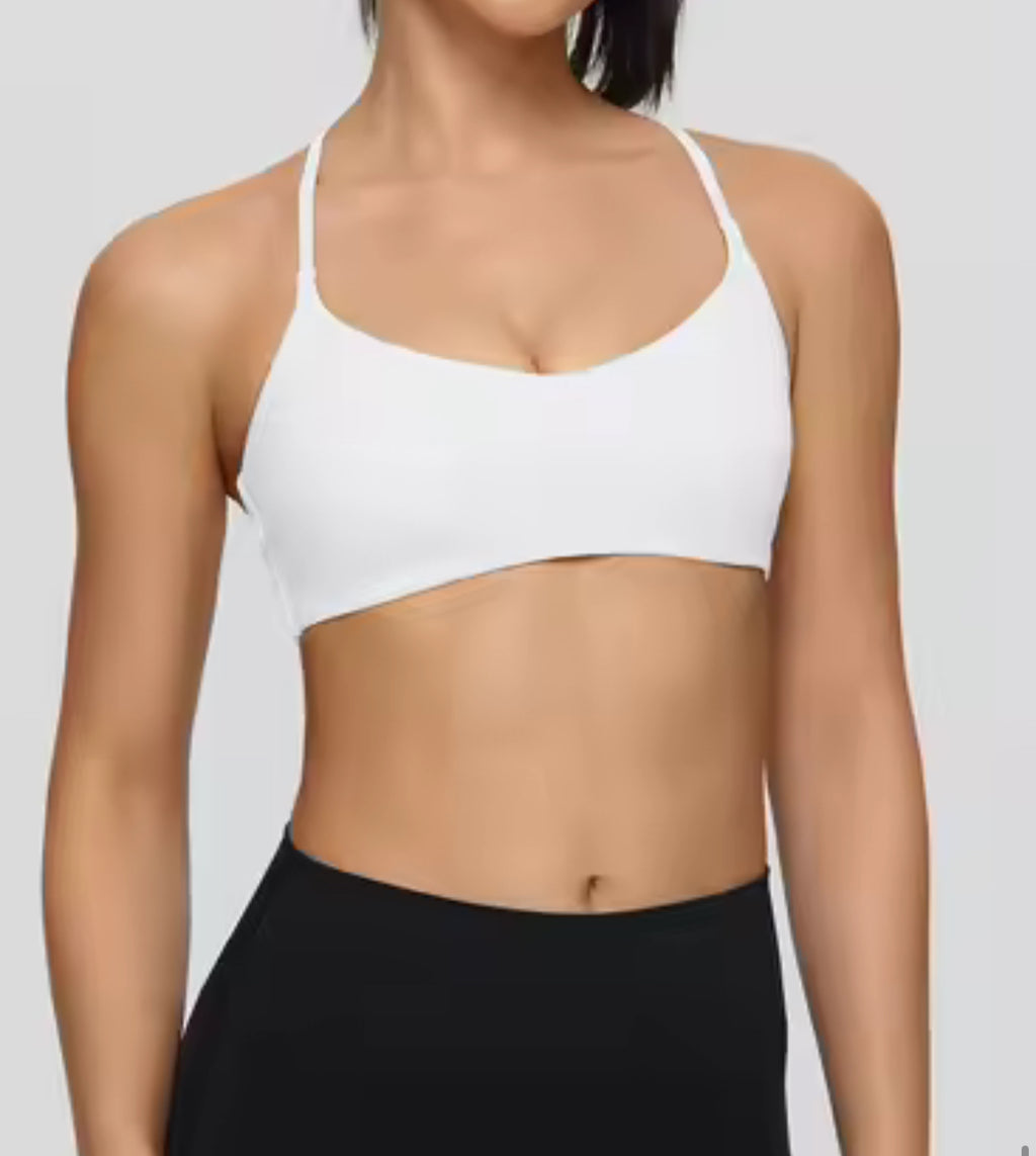 Planet Earth Sports Bra