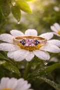 The Evergreen Ring